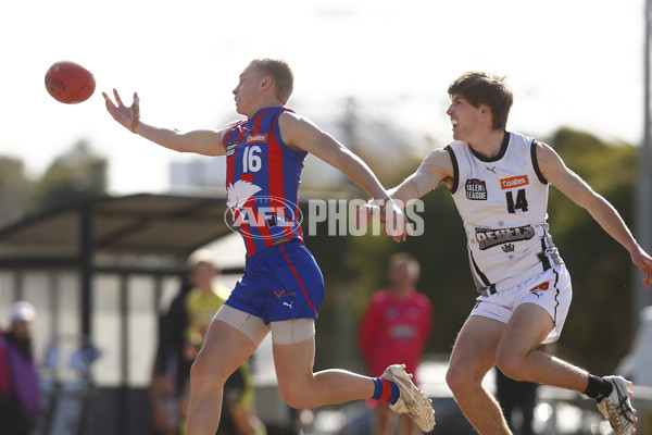 Coates League Boys 2025 Round 15 - GWV Rebels v Oakleigh Chargers - A-60542855