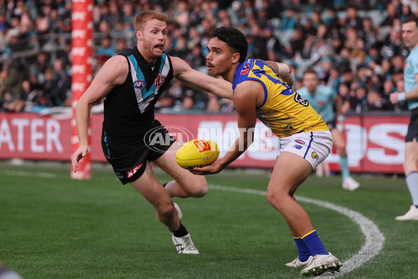 AFL 2025 Round 18 - Port Adelaide v West Coast - A-60542870