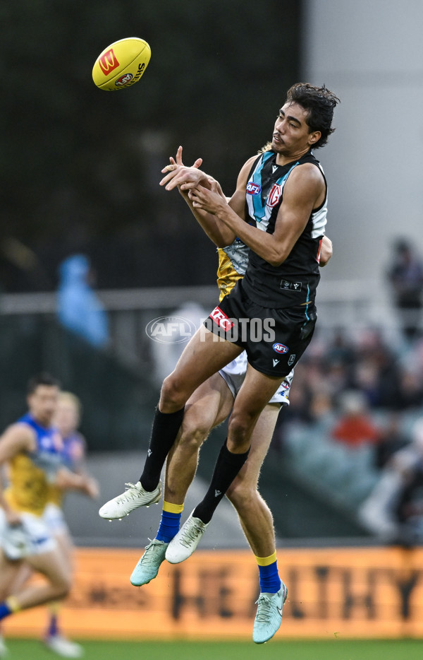 AFL 2025 Round 18 - Port Adelaide v West Coast - A-60542877