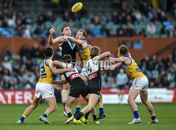 AFL 2025 Round 18 - Port Adelaide v West Coast - A-60542888