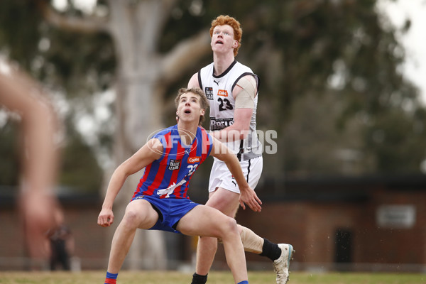 Coates League Boys 2025 Round 15 - GWV Rebels v Oakleigh Chargers - A-60542901