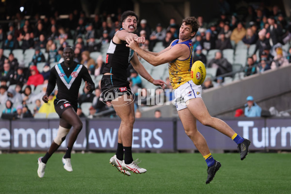 AFL 2025 Round 18 - Port Adelaide v West Coast - A-60543443