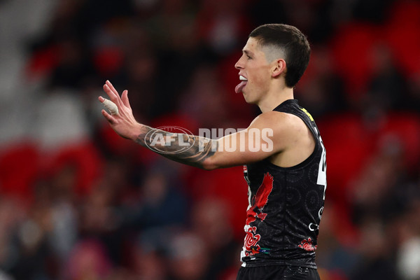AFL 2025 Round 18 - St Kilda v Sydney - A-60543461