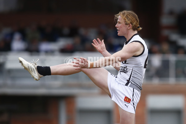 Coates League Boys 2025 Round 15 - GWV Rebels v Oakleigh Chargers - A-60543481
