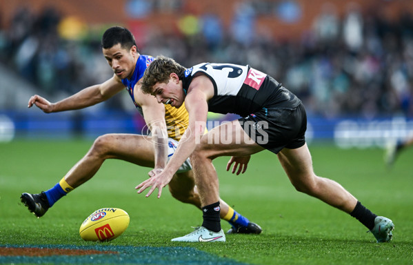 AFL 2025 Round 18 - Port Adelaide v West Coast - A-60543519