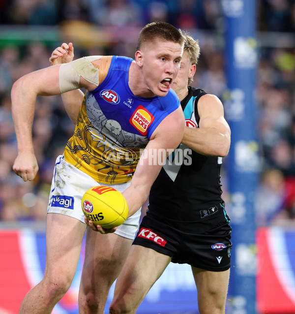 AFL 2025 Round 18 - Port Adelaide v West Coast - A-60543520