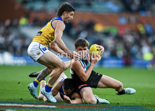 AFL 2025 Round 18 - Port Adelaide v West Coast - A-60545367