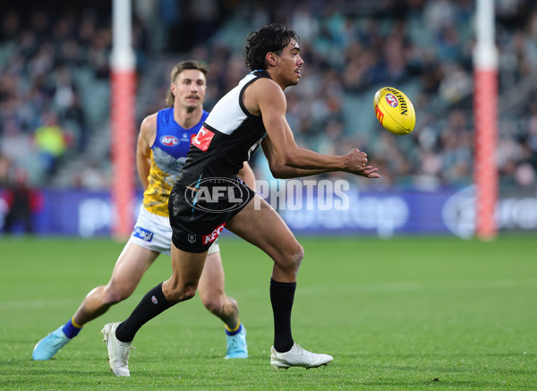 AFL 2025 Round 18 - Port Adelaide v West Coast - A-60545373