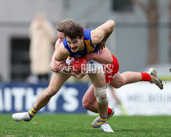 VFL 2025 Round 16 - Northern Bullants v Williamstown - A-60545434