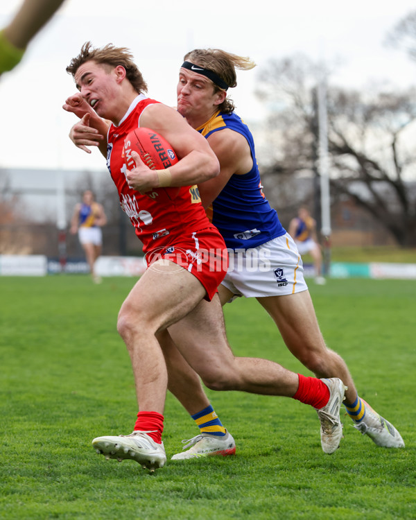 VFL 2025 Round 16 - Northern Bullants v Williamstown - A-60545436