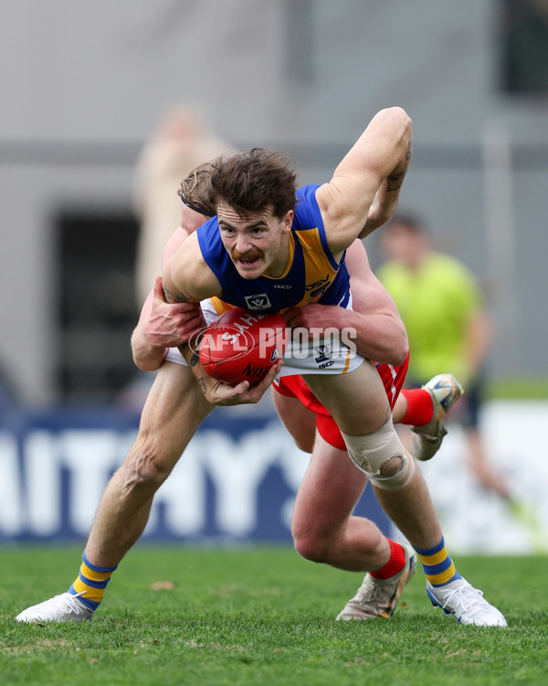VFL 2025 Round 16 - Northern Bullants v Williamstown - A-60545438