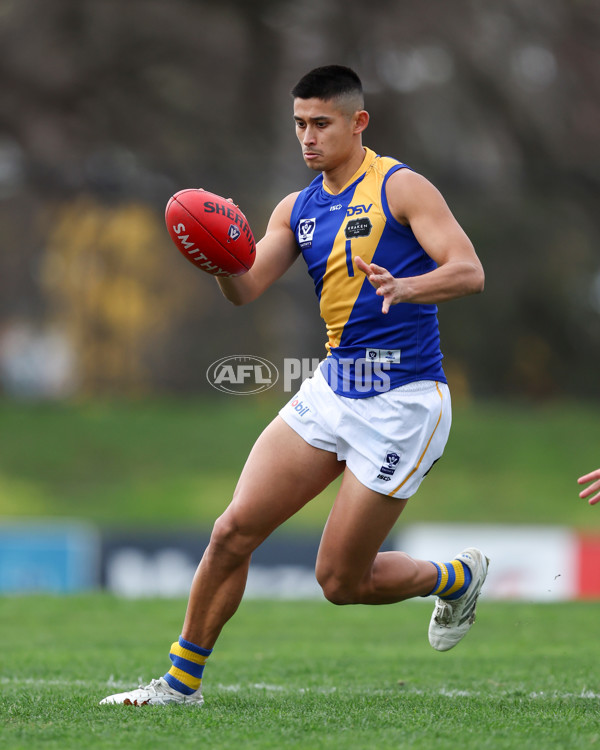 VFL 2025 Round 16 - Northern Bullants v Williamstown - A-60545439