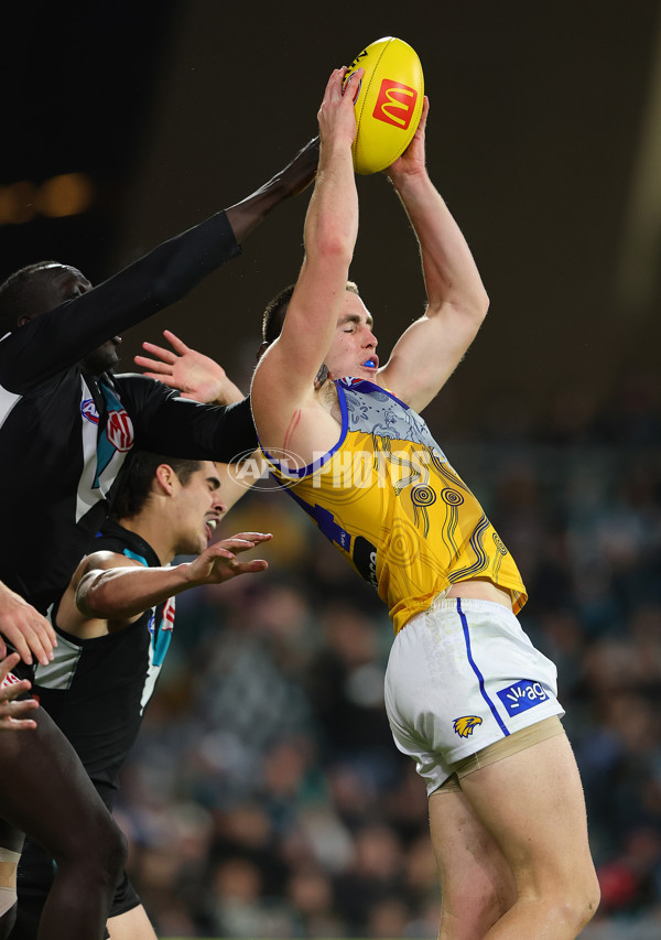 AFL 2025 Round 18 - Port Adelaide v West Coast - A-60545447