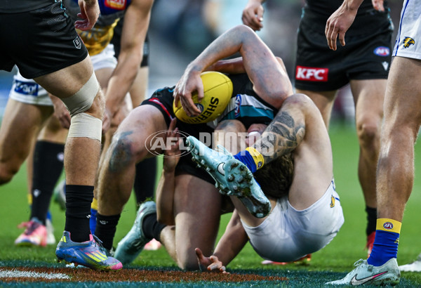 AFL 2025 Round 18 - Port Adelaide v West Coast - A-60546270
