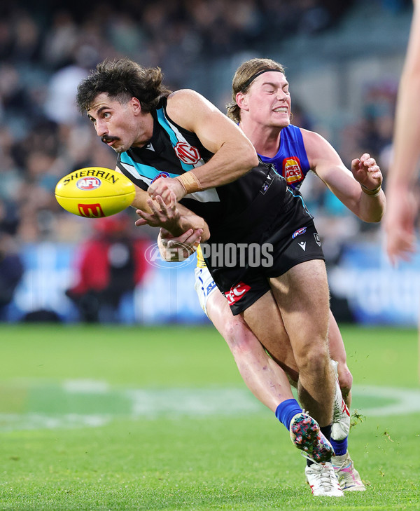 AFL 2025 Round 18 - Port Adelaide v West Coast - A-60546273