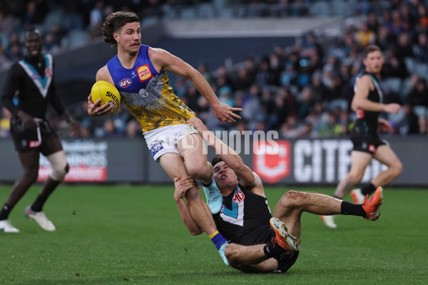 AFL 2025 Round 18 - Port Adelaide v West Coast - A-60546277