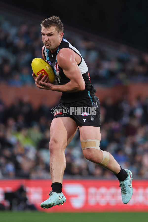 AFL 2025 Round 18 - Port Adelaide v West Coast - A-60546283