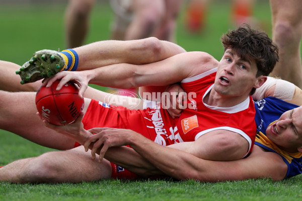 VFL 2025 Round 16 - Northern Bullants v Williamstown - A-60546304