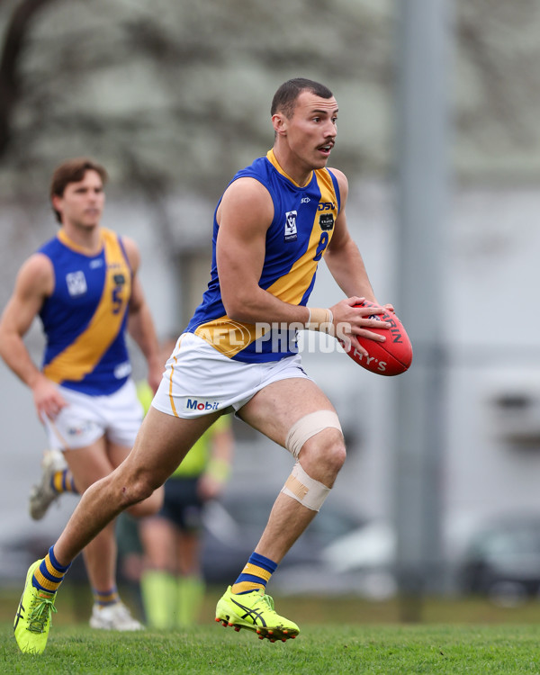 VFL 2025 Round 16 - Northern Bullants v Williamstown - A-60546307