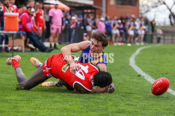 VFL 2025 Round 16 - Northern Bullants v Williamstown - A-60546308