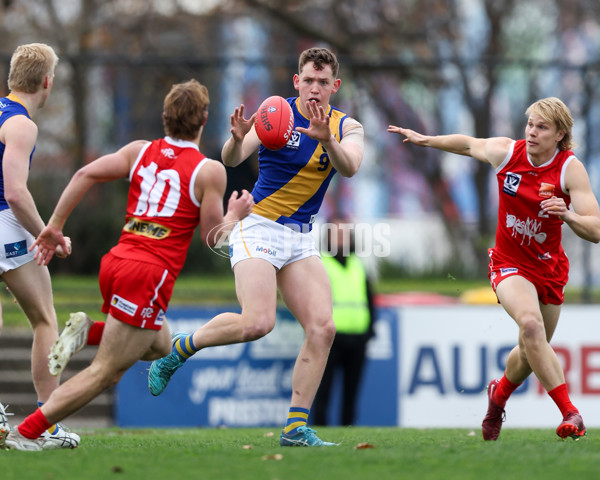 VFL 2025 Round 16 - Northern Bullants v Williamstown - A-60546309