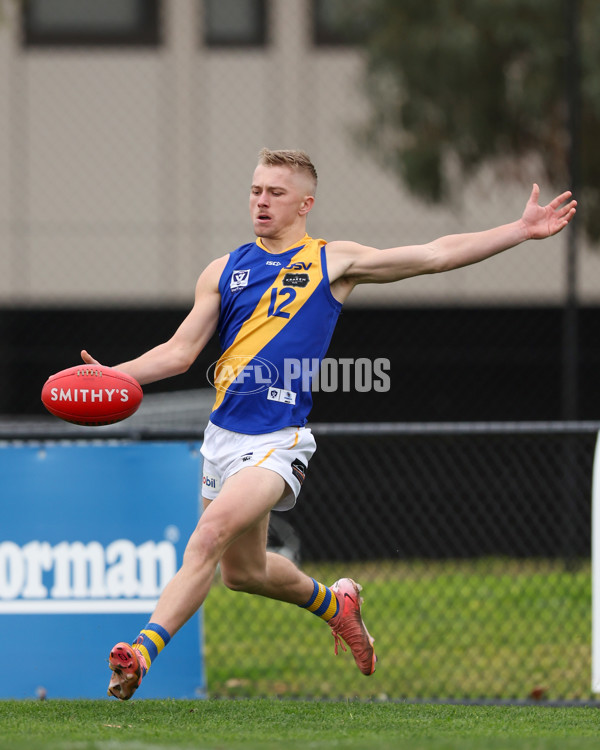 VFL 2025 Round 16 - Northern Bullants v Williamstown - A-60546318