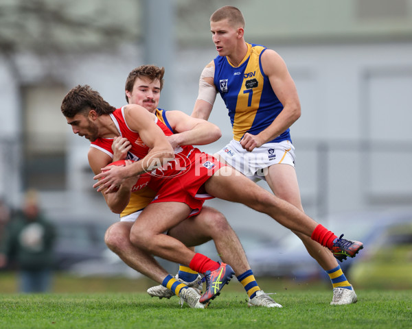VFL 2025 Round 16 - Northern Bullants v Williamstown - A-60546320