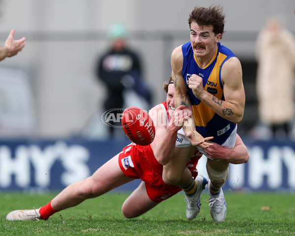 VFL 2025 Round 16 - Northern Bullants v Williamstown - A-60546321