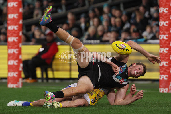 AFL 2025 Round 18 - Port Adelaide v West Coast - A-60546366