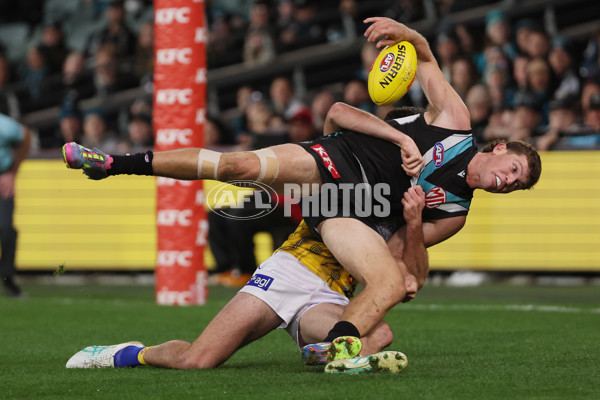 AFL 2025 Round 18 - Port Adelaide v West Coast - A-60546367