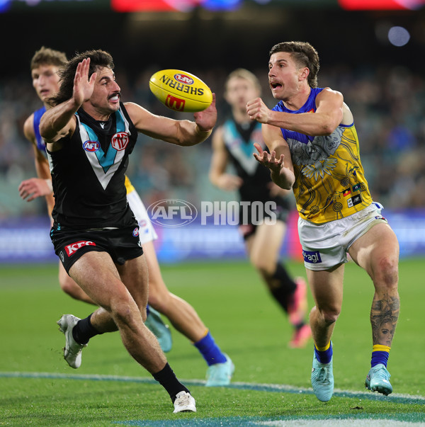 AFL 2025 Round 18 - Port Adelaide v West Coast - A-60548393