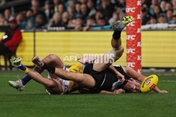 AFL 2025 Round 18 - Port Adelaide v West Coast - A-60548395