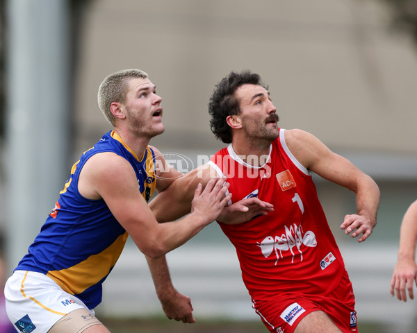 VFL 2025 Round 16 - Northern Bullants v Williamstown - A-60548401