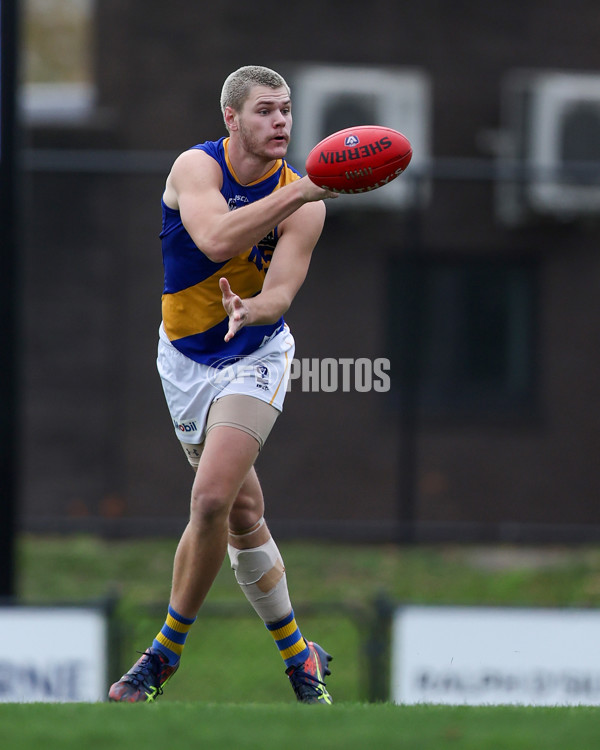 VFL 2025 Round 16 - Northern Bullants v Williamstown - A-60548402