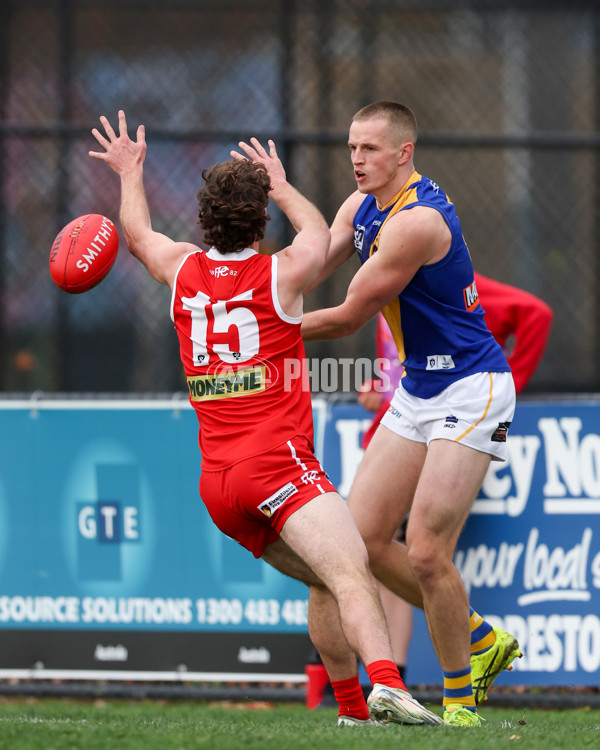 VFL 2025 Round 16 - Northern Bullants v Williamstown - A-60548697