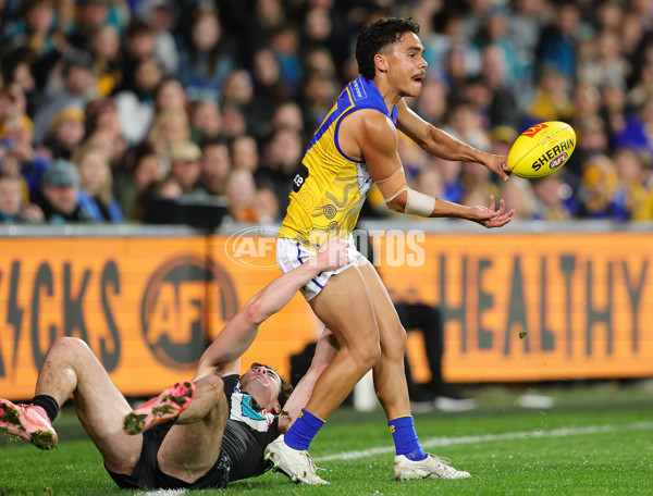 AFL 2025 Round 18 - Port Adelaide v West Coast - A-60548713