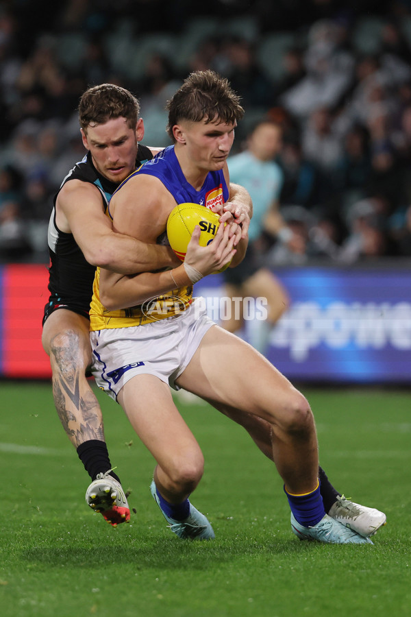 AFL 2025 Round 18 - Port Adelaide v West Coast - A-60548736