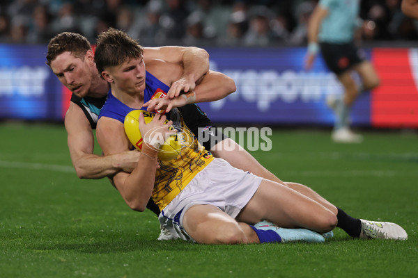 AFL 2025 Round 18 - Port Adelaide v West Coast - A-60548737