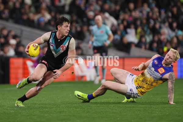 AFL 2025 Round 18 - Port Adelaide v West Coast - A-60548742
