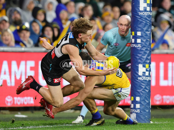 AFL 2025 Round 18 - Port Adelaide v West Coast - A-60548750