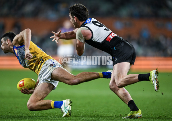 AFL 2025 Round 18 - Port Adelaide v West Coast - A-60551028