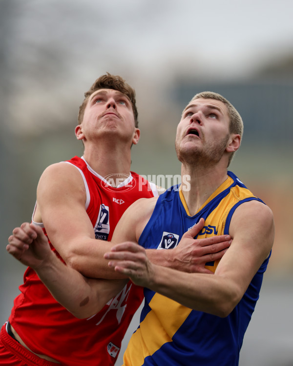 VFL 2025 Round 16 - Northern Bullants v Williamstown - A-60551057