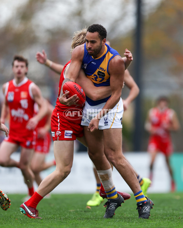 VFL 2025 Round 16 - Northern Bullants v Williamstown - A-60551058