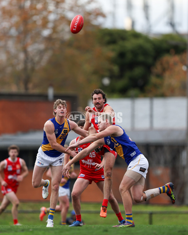 VFL 2025 Round 16 - Northern Bullants v Williamstown - A-60551064
