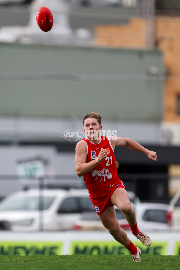 VFL 2025 Round 16 - Northern Bullants v Williamstown - A-60551066