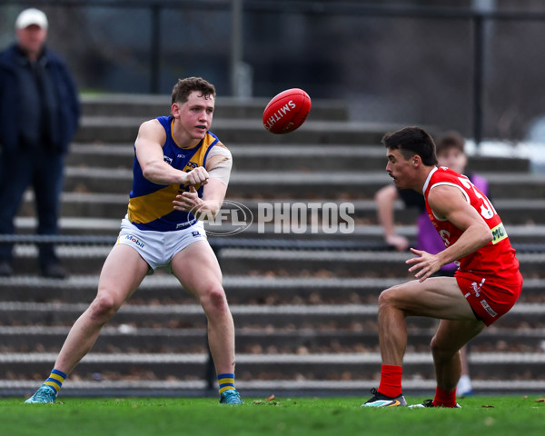 VFL 2025 Round 16 - Northern Bullants v Williamstown - A-60551067