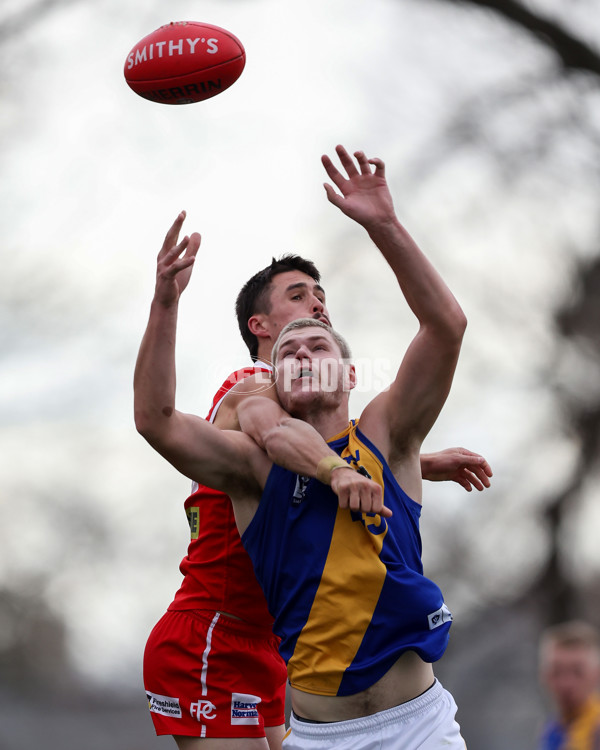 VFL 2025 Round 16 - Northern Bullants v Williamstown - A-60551077