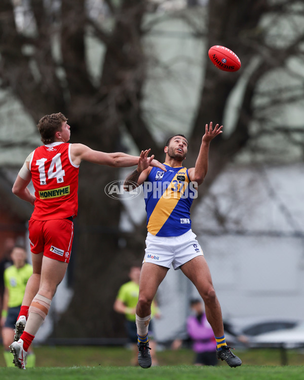 VFL 2025 Round 16 - Northern Bullants v Williamstown - A-60551344