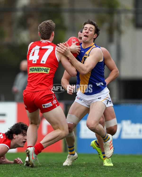VFL 2025 Round 16 - Northern Bullants v Williamstown - A-60551345