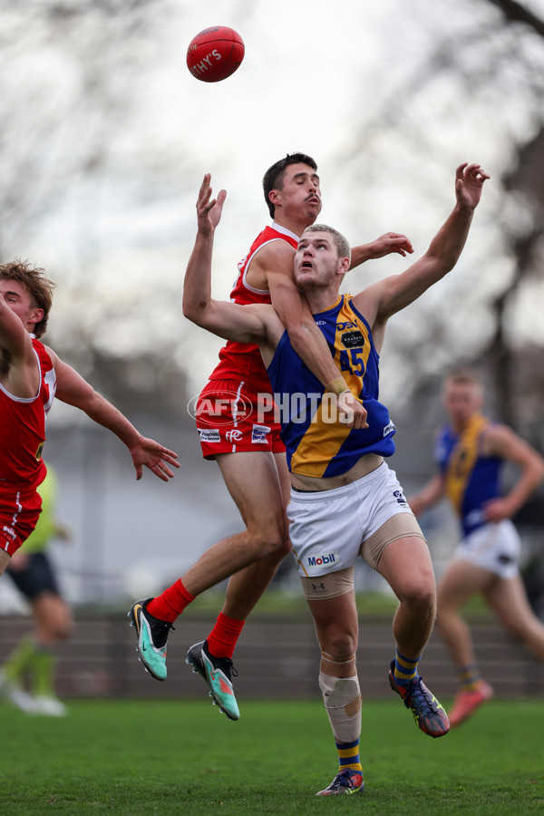VFL 2025 Round 16 - Northern Bullants v Williamstown - A-60551347